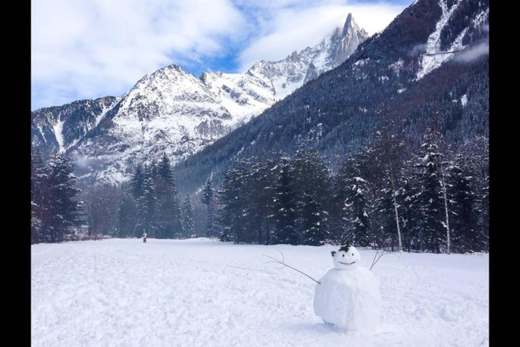Apartment Chinook,La Praz,Chamonix Mont Blanc Экстерьер фото