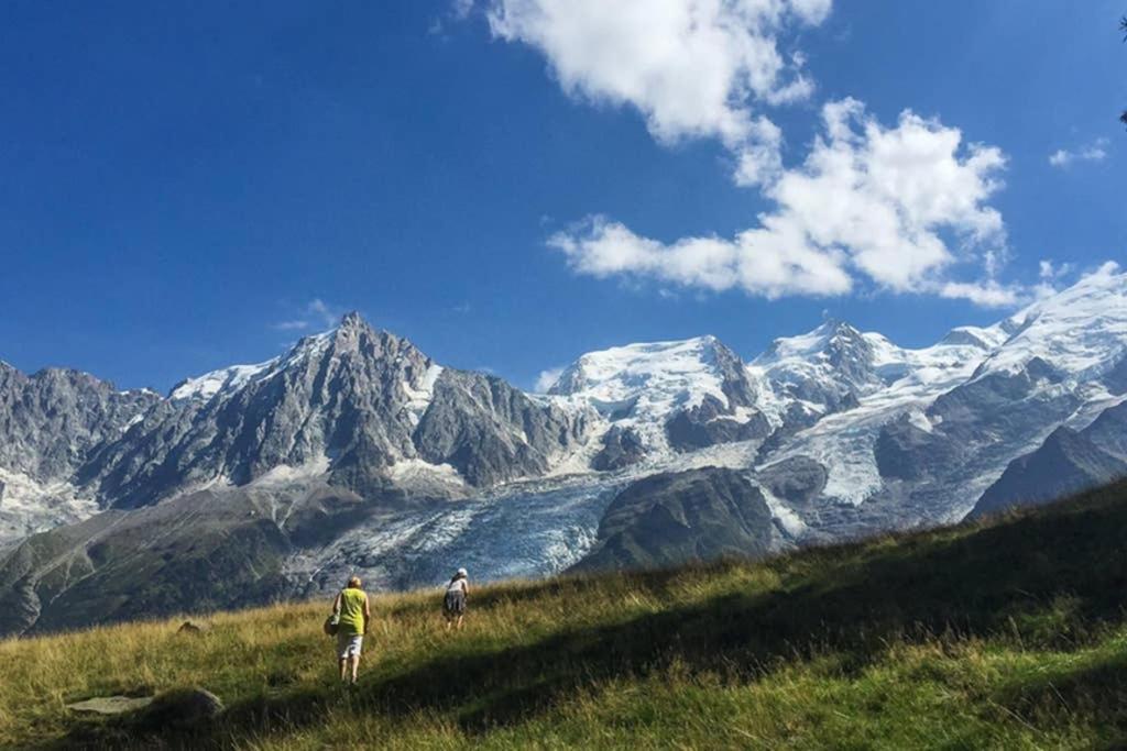 Apartment Chinook,La Praz,Chamonix Mont Blanc Экстерьер фото