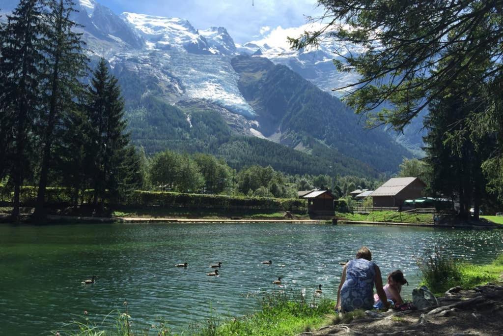 Apartment Chinook,La Praz,Chamonix Mont Blanc Экстерьер фото