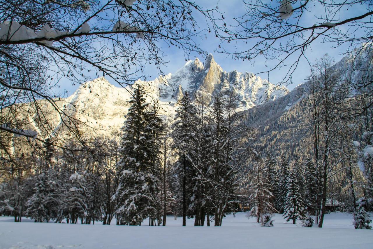 Apartment Chinook,La Praz,Chamonix Mont Blanc Экстерьер фото