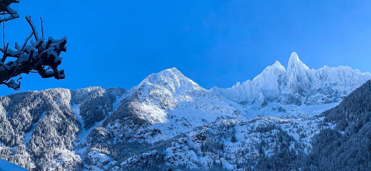 Apartment Chinook,La Praz,Chamonix Mont Blanc Экстерьер фото
